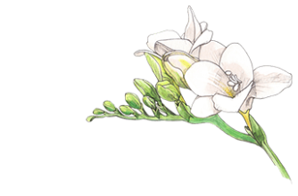 حسب الرائحة العطرية