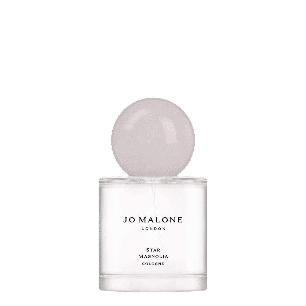 Star Magnolia Cologne 